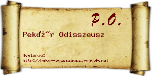Pekár Odisszeusz névjegykártya